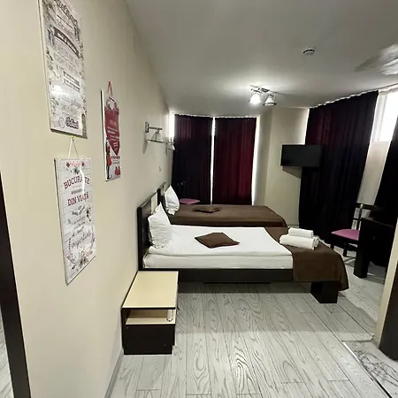 Hotel Lion's *